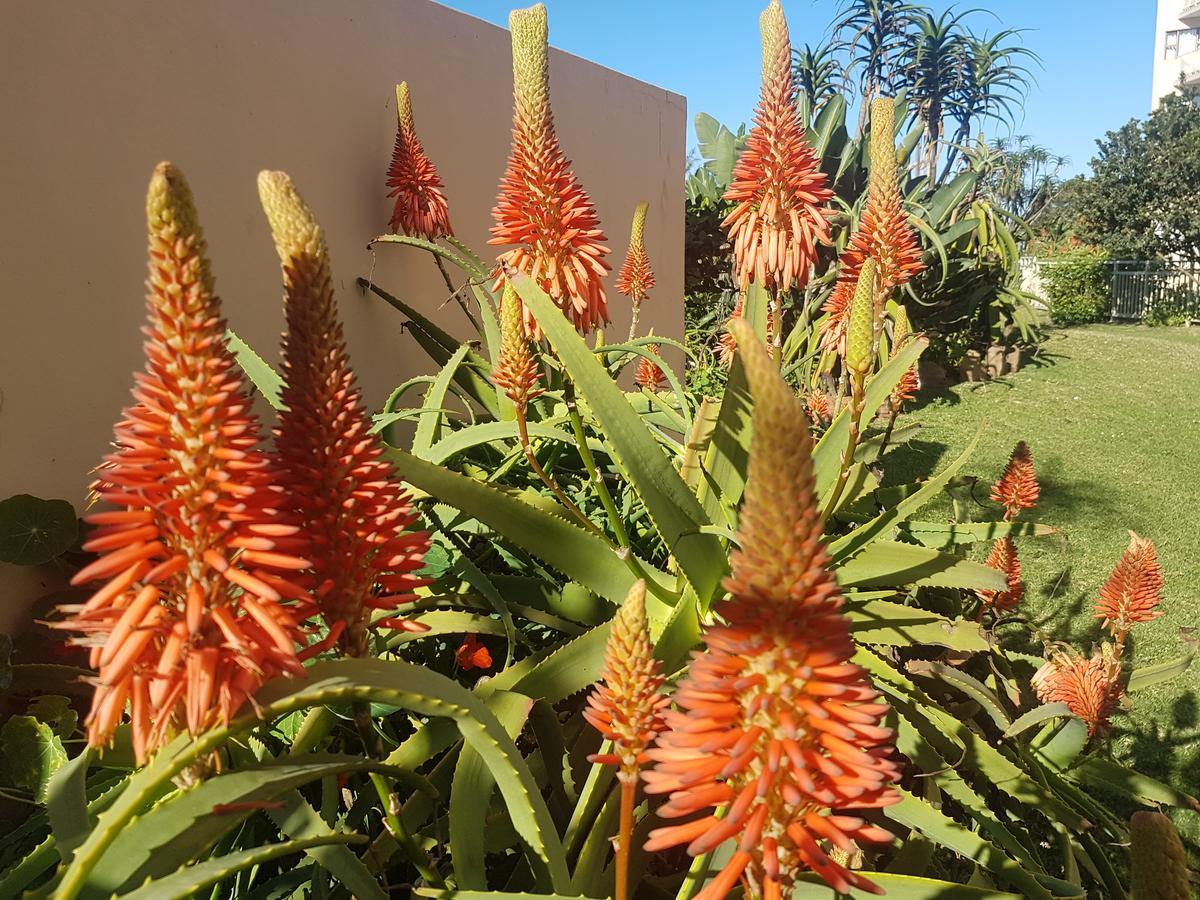 Umdloti Beach Apartment Exterior foto